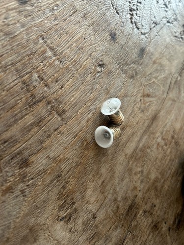 Lineol und elastolin - lineol,
